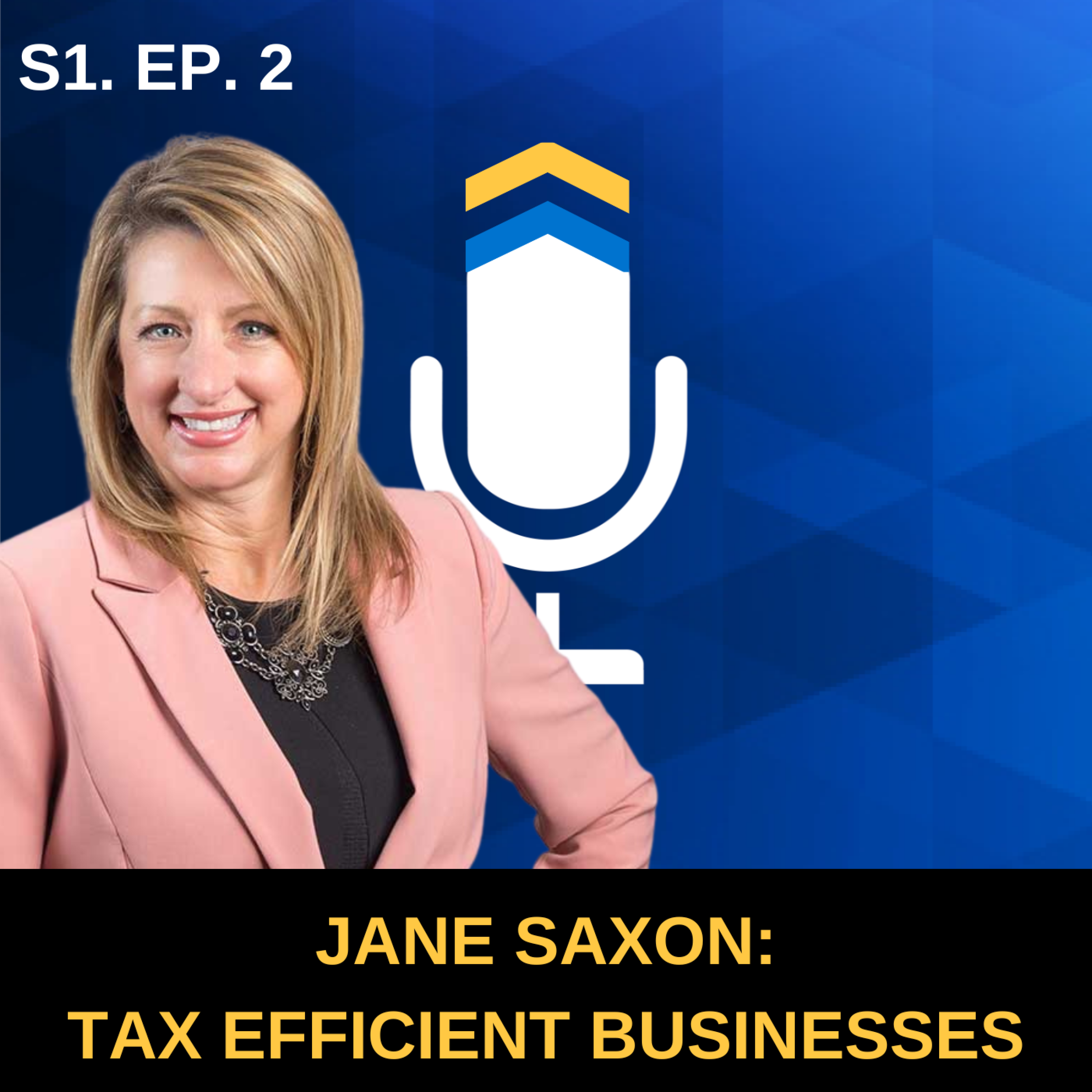 S1. Ep. 2 - Setting Up a Tax-Efficient Business Structure with Jane Saxon of Somerset CPAs and Advisors