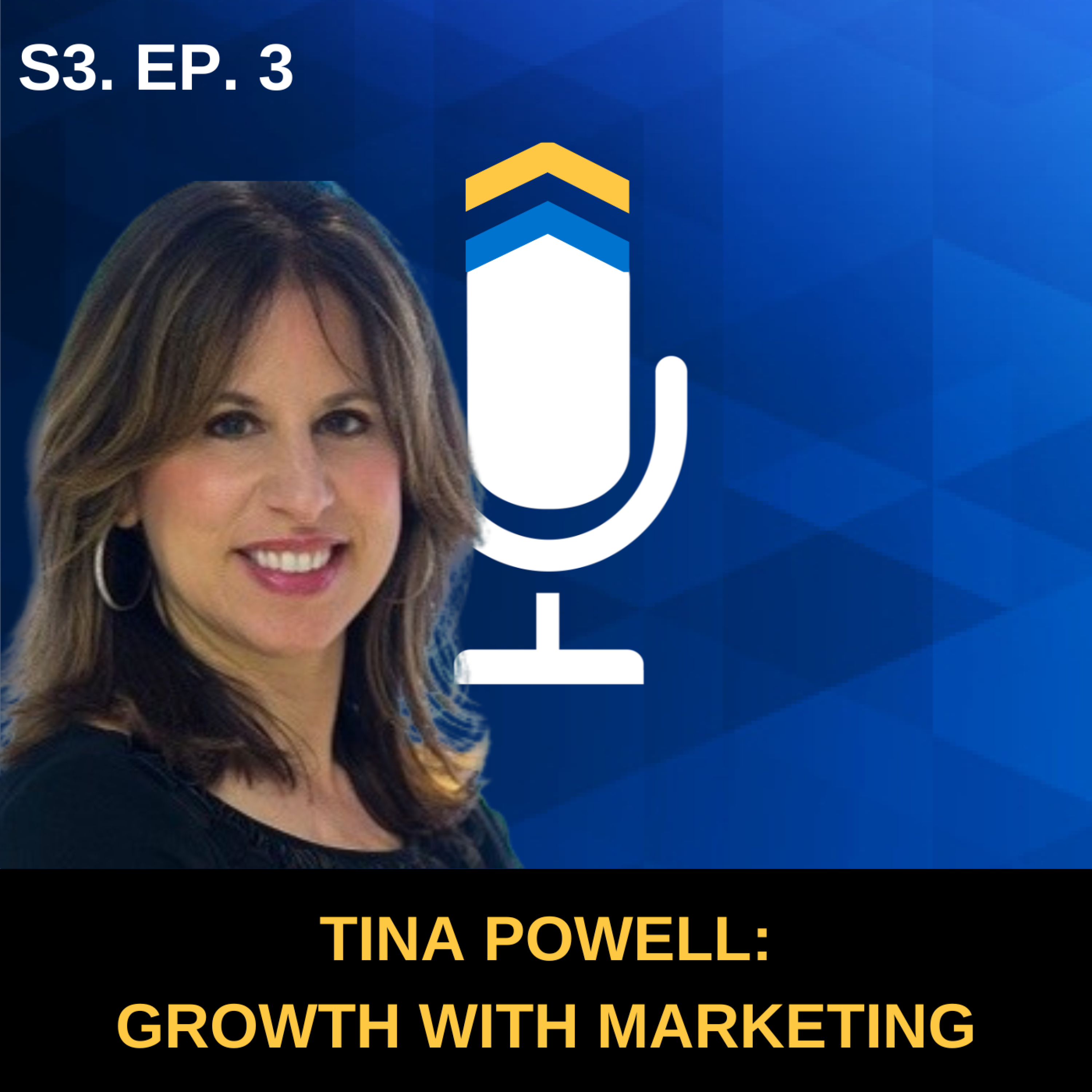 S3. Ep. 3 - Growing a Business with Digital Marketing with Tina Powell of C-Suite Social Media